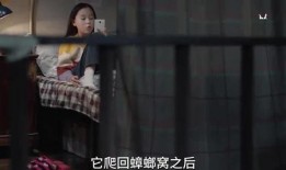 三姐姐爆料视频,幕后真相大曝光